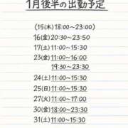 ヒメ日記 2026/01/12 22:10 投稿 ほしな 錦糸町人妻セレブリティ（ユメオト）