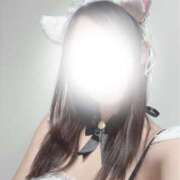 ヒメ日記 2026/03/13 07:47 投稿 ほしな 錦糸町人妻セレブリティ（ユメオト）