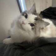 ヒメ日記 2026/03/14 10:49 投稿 ほしな 錦糸町人妻セレブリティ（ユメオト）