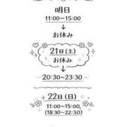 ヒメ日記 2026/03/19 21:30 投稿 ほしな 錦糸町人妻セレブリティ（ユメオト）