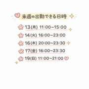 ヒメ日記 2026/04/08 12:11 投稿 ほしな 錦糸町人妻セレブリティ（ユメオト）