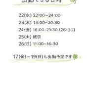 ヒメ日記 2026/04/16 07:45 投稿 ほしな 錦糸町人妻セレブリティ（ユメオト）