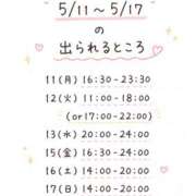 ヒメ日記 2026/05/07 02:57 投稿 ほしな 錦糸町人妻セレブリティ（ユメオト）