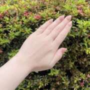 ヒメ日記 2026/05/26 13:56 投稿 ほしな 錦糸町人妻セレブリティ（ユメオト）