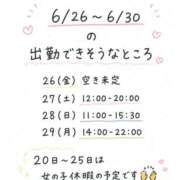 ヒメ日記 2026/06/18 07:20 投稿 ほしな 錦糸町人妻セレブリティ（ユメオト）