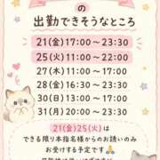 ヒメ日記 2026/08/11 12:37 投稿 ほしな 錦糸町人妻セレブリティ（ユメオト）