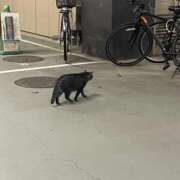 ヒメ日記 2026/08/24 21:03 投稿 ほしな 錦糸町人妻セレブリティ（ユメオト）