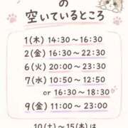 ヒメ日記 2026/09/26 11:30 投稿 ほしな 錦糸町人妻セレブリティ（ユメオト）