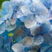 ヒメ日記 2025/12/13 23:33 投稿 雨宮えりか 性感回春アロマSPA金沢店