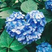 ヒメ日記 2026/04/09 12:42 投稿 雨宮えりか 性感回春アロマSPA金沢店