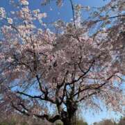 ヒメ日記 2026/04/15 09:18 投稿 雨宮えりか 性感回春アロマSPA金沢店