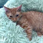 ヒメ日記 2025/12/08 11:12 投稿 くろみ 熟女の風俗最終章 池袋店