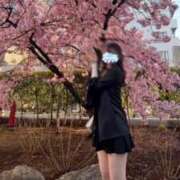 ヒメ日記 2026/03/10 12:35 投稿 るみ 見学娘