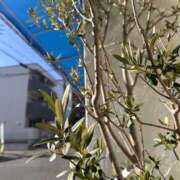 ヒメ日記 2026/02/21 22:14 投稿 椎名ゆい 禁断のメンズエステR-18堺・南大阪店