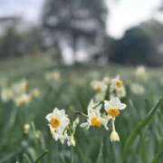 ヒメ日記 2026/03/02 02:24 投稿 椎名ゆい 禁断のメンズエステR-18堺・南大阪店