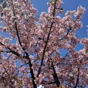 ヒメ日記 2026/03/14 15:24 投稿 椎名ゆい 禁断のメンズエステR-18堺・南大阪店