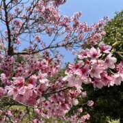 ヒメ日記 2026/03/29 16:44 投稿 椎名ゆい 禁断のメンズエステR-18堺・南大阪店