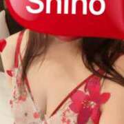 ヒメ日記 2026/03/19 11:52 投稿 しほ 完熟ばなな神戸・三宮店