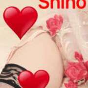 ヒメ日記 2026/03/31 02:02 投稿 しほ 完熟ばなな神戸・三宮店