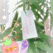 ヒメ日記 2026/07/23 12:38 投稿 凪姫-なぎ- 人妻倶楽部 花椿大崎店