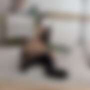 ヒメ日記 2026/04/17 20:15 投稿 きら 秋葉原ハンドメイド