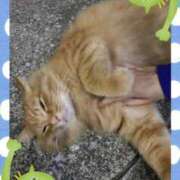 ヒメ日記 2026/01/14 13:45 投稿 すず 激安ドットコム