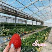 ヒメ日記 2026/01/20 23:58 投稿 すず 激安ドットコム