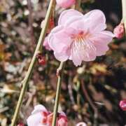 ヒメ日記 2026/02/27 14:45 投稿 すず 激安ドットコム