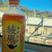 すず 元気に！ 激安ドットコム