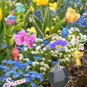 ヒメ日記 2026/05/28 08:45 投稿 すず 激安ドットコム