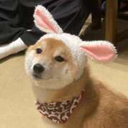 いず 12月の出勤の予定🎁 深海魚