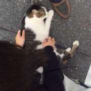 いず 今日も寒い😢 深海魚