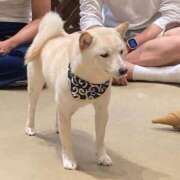 ヒメ日記 2025/12/16 09:23 投稿 いず 深海魚