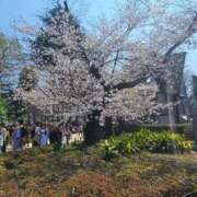 めい 桜のデート 完熟ばなな 上野店
