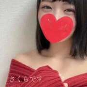 ヒメ日記 2025/12/16 20:58 投稿 桃山さくら ウルトラロイヤル