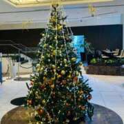 ヒメ日記 2025/12/20 18:48 投稿 桃山さくら ウルトラロイヤル