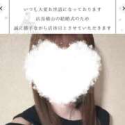 ヒメ日記 2025/12/07 08:55 投稿 しのぶ 姫マーケット