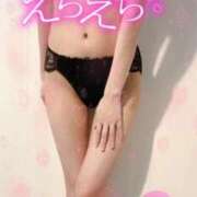 ヒメ日記 2025/12/30 18:05 投稿 しのぶ 姫マーケット