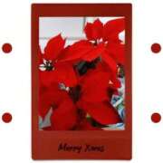 ヒメ日記 2025/12/23 09:03 投稿 美玖 チューリップ土浦店