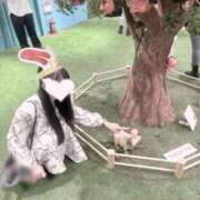 ヒメ日記 2026/01/13 15:35 投稿 雪乃あくあ CUORE(クオレ)