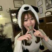 ヒメ日記 2026/01/17 17:05 投稿 橋本ゆりな 断りきれない美人マッサージ嬢たち