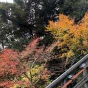 ヒメ日記 2025/11/30 05:06 投稿 みらん 女の子がセルフで撮影する店！！成田デリヘル『生パネル』伝説