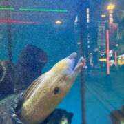 ヒメ日記 2026/02/06 16:17 投稿 うみか ルネッサンス