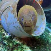 ヒメ日記 2026/02/20 16:53 投稿 うみか ルネッサンス