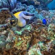 ヒメ日記 2026/04/06 16:00 投稿 うみか ルネッサンス