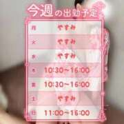 ヒメ日記 2025/12/08 19:06 投稿 伊藤りおな コウテイ