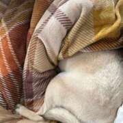 ヒメ日記 2026/03/20 21:02 投稿 みら【童顔Fカップ美巨乳】 One More 奥様 新宿店