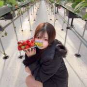 ヒメ日記 2026/01/10 19:51 投稿 戦慄　なの ピンクダイア