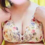 ヒメ日記 2026/01/29 12:14 投稿 あお 埼玉本庄ちゃんこ