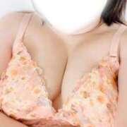 ヒメ日記 2026/02/18 14:54 投稿 あお 埼玉本庄ちゃんこ